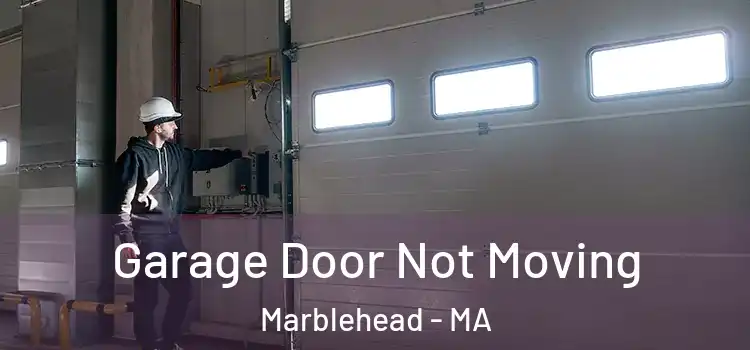  Garage Door Not Moving Marblehead - MA