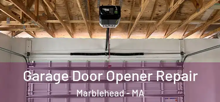  Garage Door Opener Repair Marblehead - MA