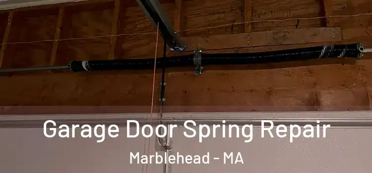 Garage Door Spring Repair Marblehead - MA